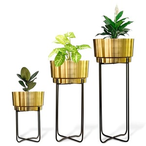 Pot de fleurs en métal finition or de luxe, fournisseur indien, pour salon, hall d'hôtel et décoration commerciale, disponible à la vente - Product Image 4