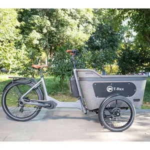 Yüksek kaliteli elektrikli bisiklet kargo EPP kargo kutusu Trike hub motor elektrikli kargo bisikleti elektrikli üç tekerlekli bisiklet moda elektrikli aile araba