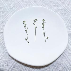 Dimenticardimelo con rami di materiale per veri fiori confezionare segnalibro con fiore essiccato esemplare di pianta in rilievo - Product Image 5