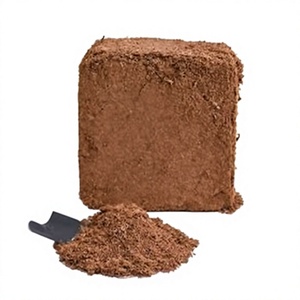 Bloque de Turba de Coco Biodegradable de Alta Calidad, Bajo EC, Orgánico, Marca Privada OEM, Exportación, Blue Lotus Farm Ben Tre - Product Image 1