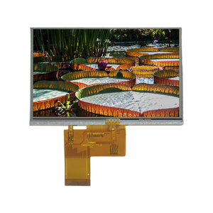 Wandisplay 5-Inch LCD TFT IPS Screen 800x480 Resolution 400cd/m Brightness 24-Bit RGB Interface for Projector - Product Image 1