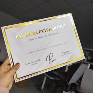 Certificados Personalizados con Estampado en Lámina Dorada - Certificados de Premio Impresos en CMYK con Borde Dorado para Capacitación y Reconocimiento - Product Image 6