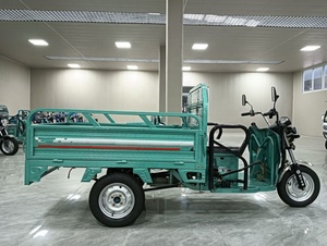 Triciclo EEC de Servicio Pesado de 1500W, Tres Ruedas, Carrocería Abierta, Alta Capacidad de Carga - Product Image 2