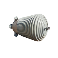 Borui 5 tonnes réacteur à haute température scellé magnétique avec bobine de limpet
