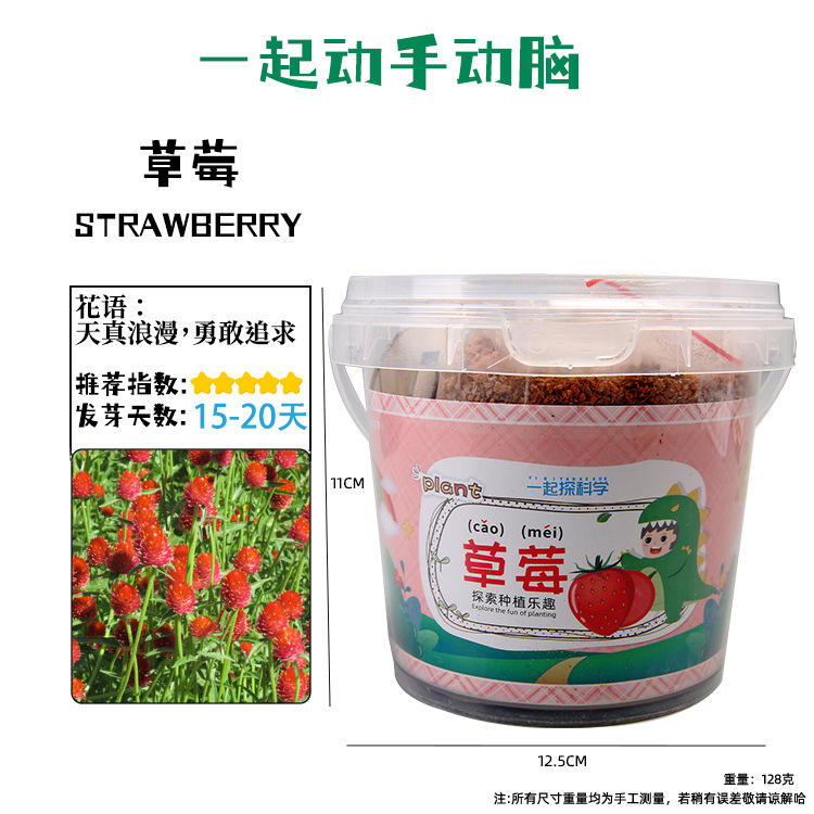 Strawberry barrel planting
