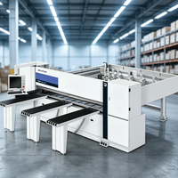R-TUP DS--380 Machine de découpe de bois automatique horizontale facile à utiliser, scie à panneaux CNC à chargement arrière 25 kW