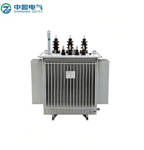 100kVA Three Phase High Voltage Oil Immersed Power Transformer 220V to 110V Step up for Power Distribution
