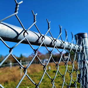 Malla de Alambre de Acero Diamantado Estándar de 50x50 mm, Galvanizada en Caliente, Rollos de Malla Metálica para Cercas de Seguridad Escolar - Product Image 2