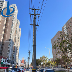 <span class=keywords><strong>Torre</strong></span> Tubular para Línea de Transmisión Eléctrica, <span class=keywords><strong>Torre</strong></span> de Acero Eléctrico Galvanizado en Caliente, Mástil Monopolar, <span class=keywords><strong>Torre</strong></span> de Tubo de Doble Circuito para Línea Eléctrica - Product Image 6