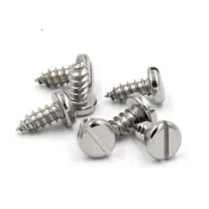 Stainless Steel Slotted Pan Head security thread forming Self Tapping DIN7971 Screw