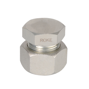 Duy nhất ferrule cắm thép mạ kẽm mềm niêm phong cắt Vòng duy nhất ferrule thẳng cắm phụ kiện ống thủy lực 6 đến 42mm - Product Image 2