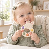 Anneau de dentition pour bébé, jouet de dentition, bâtonnet de dentition, anneau de dentition en silicone, crème de dentition, lapin, Pop It, Push Bubble, personnalisé OEM