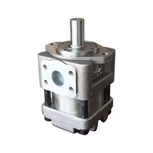 Pompe à engrenages haute pression, pompe à huile hydraulique Qt42 Qt52 QT42-20F-BP-Z QT42-25F-BP-Z pour machine de moulage par injection et de fonderie sous pression - Product Image 5