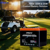 Batería LiFePO4 de 24V 120AH con Calefacción para Bajas Temperaturas, Bluetooth M8, para Carrito de Golf, RV, Camper, Fuente de Alimentación de Funcionamiento Continuo a Baja Temperatura