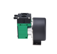 Pompe micro sans balais Pengpu 24V DC résistante à la corrosion, petite pompe 12V pour échantillonnage de COV, pompe à air longue durée de vie G3BW en plastique technique