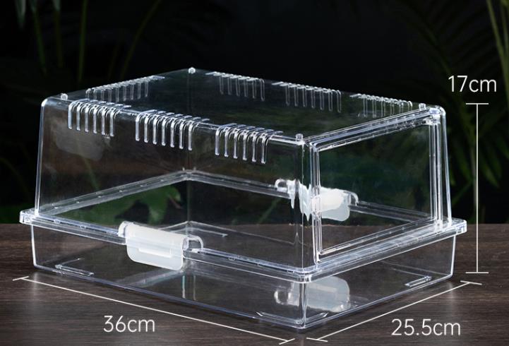 小型透明プラスチックテラリウム 36x25.5x17cm ソリッドパターン