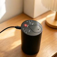 Diffuseur d'huiles essentielles sans eau, diffuseur d'arômes portable pour la maison, la chambre, la voiture, le bureau