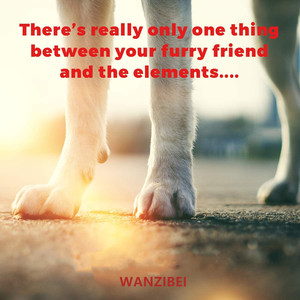 Private Label Eco-Friendly Stocked Paw Balm Wax Proteção 100% Natural Orgânico Dog Paw Cuidados ISO9001 Certified 1oz/2oz -wanzibei - Product Image 2