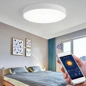 Beste Verkoop!!!500Mm 400Mm 300Mm 36W Ronde Moderne Wifi Tuya Led Smart Plafondlamp Voor Thuis