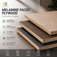 Contreplaqué de meubles mélaminé et revêtu, certifié E0, moderne, durable, de première qualité, en eucalyptus