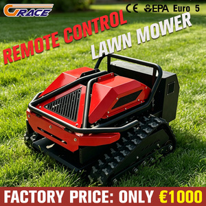 Livraison gratuite CE Euro 5 Tondeuse industrielle sur chenilles 600 mm Moteur 224 cm³ Coupe-herbe pour pentes - Product Image 2