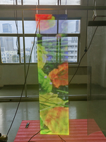 Haute transparence intérieur Muxwave holographique Invisible écran LED publicité panneau écran affichage 3D pour la publicité