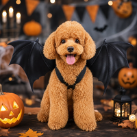 Ailes en tissu pour animaux de compagnie pour Halloween, accessoires de costume mignons et ajustables pour chiens et chats, pour les fêtes costumées