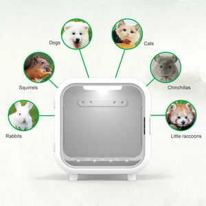 Disponibile a buon mercato portatile cane gatto cucciolo Pet ICU per clinica veterinaria medica camera di ossigeno per piccoli animali - Product Image 5