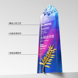 รางวัลความร่วมมือระยะยาวของซีเมนส์ คริสตัล โทรฟี่ ของที่ระลึกทางธุรกิจที่แกะสลักขึ้นเป็นรางวัลสำหรับการประชุม - Product Image 5