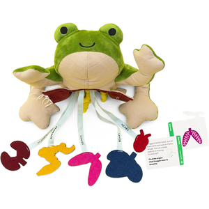 Peluche grenouille verte Froggie Lab, jouet éducatif pour enfants, anatomie de la dissection, apprentissage scientifique amusant, 12,5 pouces - Product Image 1