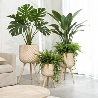 Ensemble de pots à fleurs minimalistes en fibre d'argile, 3 tailles, surface à relief ondulé, décoration de sol, jardinières et pots avec pieds en bois naturel