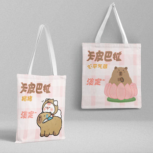DHF670 Groothandel Verschillende Soorten Kawaii Chiikawa Mofusand Canvas Tassen Schattige Capybara Draagbare Grote Capaciteit Studenten Opbergtas Kinderen - Product Image 5