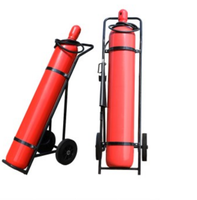 Extincteur à dioxyde de carbone 10 lb (5 kg) certifié CE ISO, système d'extinction d'incendie au gaz de dioxyde de carbone