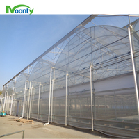 Serre agricole pour tomates multi-span pour fruits/herbes/cultures/concombres/aubergines/tomates/laitues Système hydroponique Black out