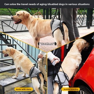 <span class=keywords><strong>Harnais</strong></span> multifonctionnel pour chien, aide les chiens âgés, blessés, arthritiques, handicapés, marche assistée, durable, réglable, soutien de levage - Product Image 3
