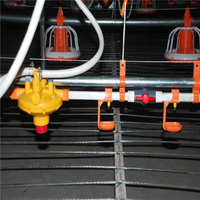 Système d'abreuvement avicole durable et automatique pour élevages de volailles, avec régulateur et kit d'installation, modèle Big Herdsman