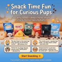 Jouets pour chiens en peluche 2-en-1 en forme de sac de collation froissé, couineurs, avec motifs Biscuit, Fromage, Café, Noix mélangées, jouets à mâcher interactifs pour chiots, jouets pour animaux de compagnie durables