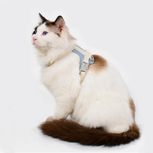 Nouveautés : <span class=keywords><strong>Harnais</strong></span> confortable antidérapant pour petits chiens et chats, laisse de <span class=keywords><strong>traction</strong></span>, collier pour animaux de compagnie, <span class=keywords><strong>harnais</strong></span> pour petits chiens - Product Image 5