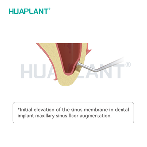 Hueplane Aksesori bor gigi LE01 ISO, Lift periostex bedah Oral pengangkat Sinus Stainless Steel - Product Image 4