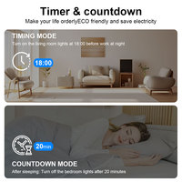 Interrupteur intelligent WiFi ESP32 C2, disjoncteur 63A 2P, mesure de la puissance, surveillance, minuterie, relais avec protection contre les fuites pour maison intelligente