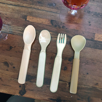 Ensemble de mini-cuillères biodégradables pour les occasions festives