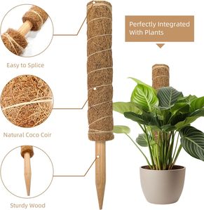 Venta caliente <span class=keywords><strong>Bonsai</strong></span> Plantas trepadoras Soporte 40cm <span class=keywords><strong>Coco</strong></span> Coir Moss Pole con accesorios - Product Image 5