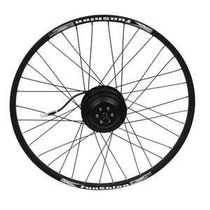 CZJB-75T <span class=keywords><strong>BPM</strong></span> pas cher roue arrière 350w 20 pouces vélo électrique et <span class=keywords><strong>kit</strong></span> moteur de vélo - Product Image 5