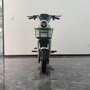 Bicicleta eléctrica de 48V con neumáticos gruesos para adultos, con ruedas de 20 pulgadas, 1000W, para niños de 10 años, 3000W, kit de motor para construir tu propia bicicleta, Bangladesh, 1500W. - Product Image 2