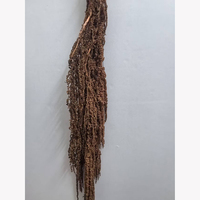 Bunga Kering Amaranthus Hypochondriacus yang Diawetkan, Dekorasi Bunga Kering yang Diolah dengan Gliserin, Ramah Lingkungan, Tahan Lama dari Yunnan