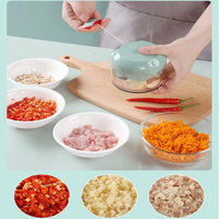 Mini hachoir manuel multifonctionnel Picador de ajo Hachoir à viande facile à tirer Broyeur de légumes Hachoir à ail