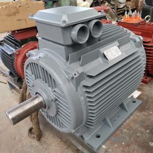 Generador Síncrono de Imán Permanente de Baja Velocidad de Alta Calidad, 30kW, 250rpm - Product Image 2