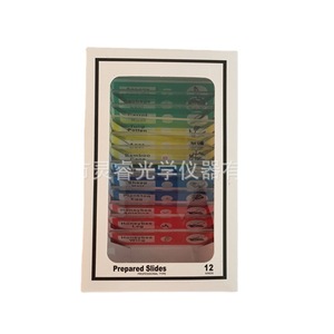 Biology Microscope Slides Plant And Animal Specimens 6X2Cm Glass For School And Home Use 12 Pieces Pack - Product Image 2