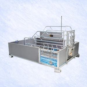Nouvelle Cage de Maternité pour Porcs HENGYIN Populaire et Indispensable, en Acier Galvanisé à Chaud, Système d'Alimentation Entièrement Automatique, Lisse et Anti-corrosion - Product Image 3