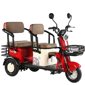 <span class=keywords><strong>Tricycle</strong></span> électrique ouvert scooter domestique pour adultes 600w 800w 1000w véhicule électrique à énergie nouvelle avec grand espace de stockage - Product Image 1